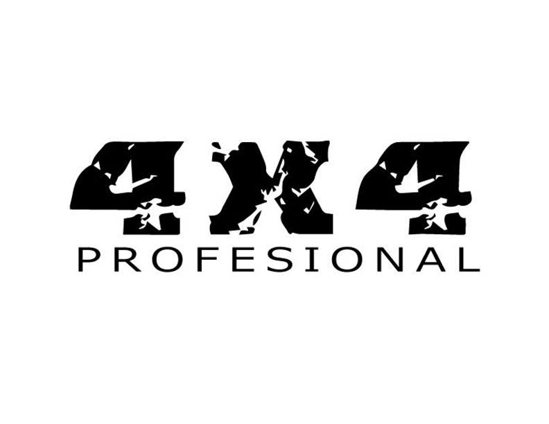 4x4 Profesional